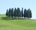 offerte_agriturismo_in_toscana_e_umbria